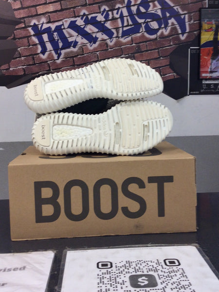 Yeezy Boost 350 “Turtle Dove” #051324