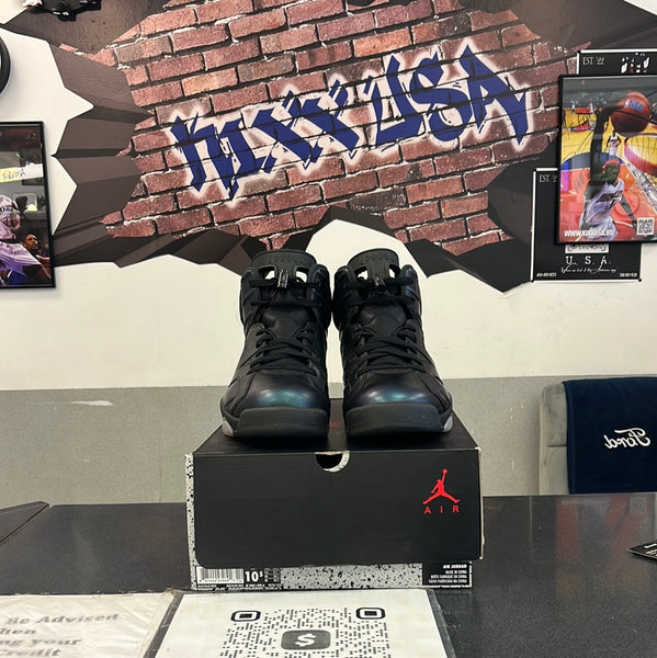 Air Jordan 6”All Star Chameleon”#3524