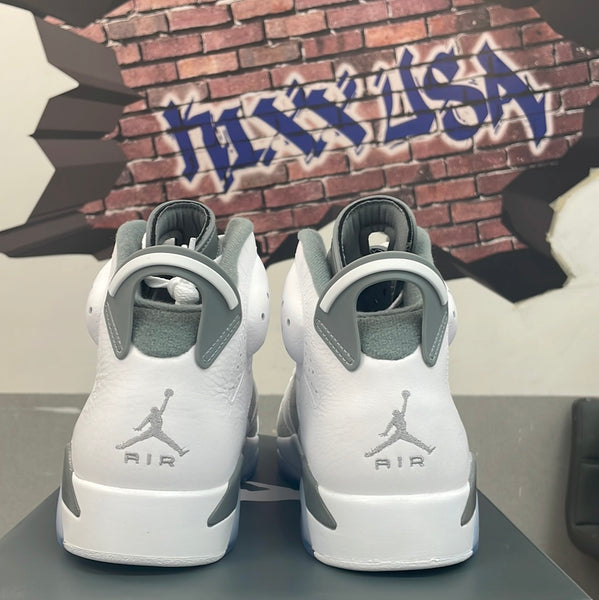 Air Jordan 6 “Cool Grey” #415123